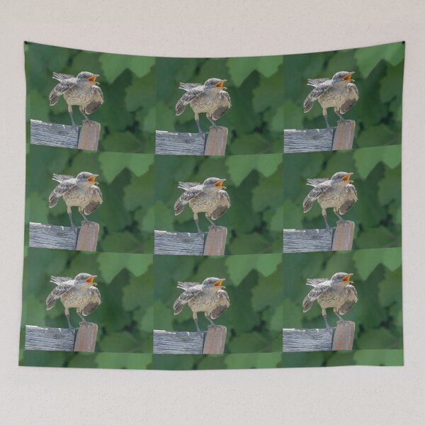 Item preview, Mockingbird Fledgling Squawking For Mom  designed and sold by CarolM.