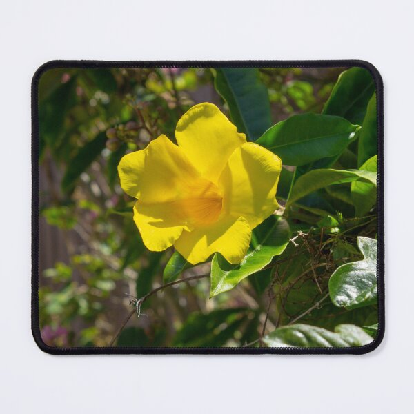 Item preview, Backyard Yellow Flower designed and sold by CLSArtistries.