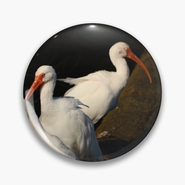 Item preview, Three  White Ibis  Birds designed and sold by utakloss.