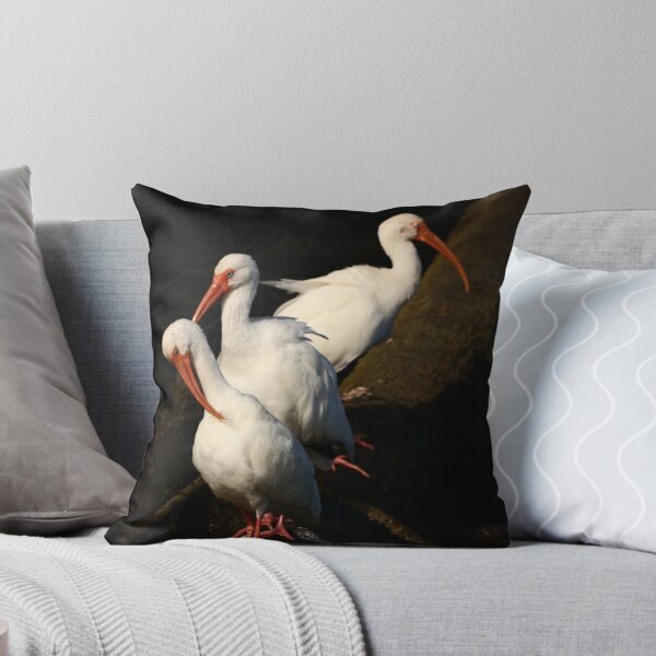 Item preview, Three  White Ibis  Birds designed and sold by utakloss.