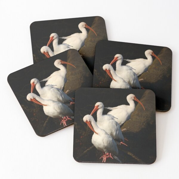 Item preview, Three  White Ibis  Birds designed and sold by utakloss.