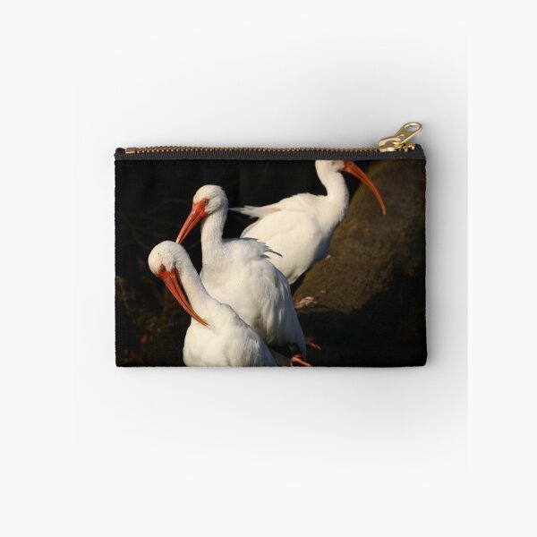 Item preview, Three  White Ibis  Birds designed and sold by utakloss.