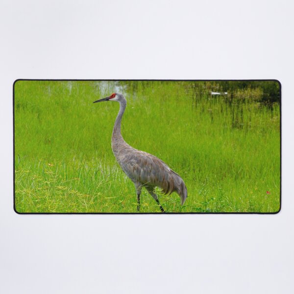 Item preview, Strolling Sandhill Crane designed and sold by CLSArtistries.