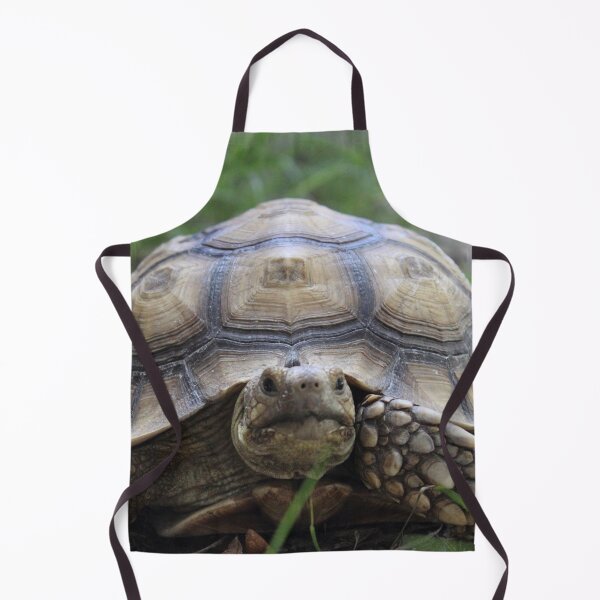 Item preview, Grazing Gopher Tortoise designed and sold by CLSArtistries.