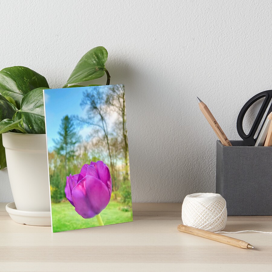 Item preview, Art Board Print designed and sold by Notcamerashy.