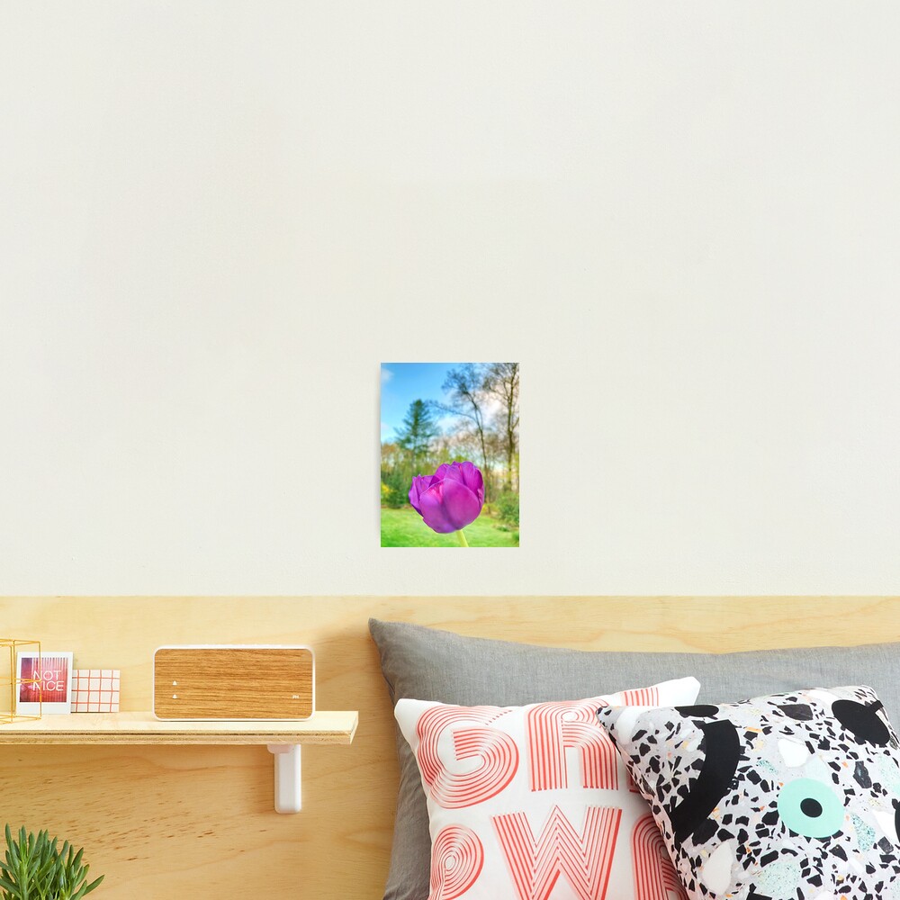 Item preview, Photographic Print designed and sold by Notcamerashy.