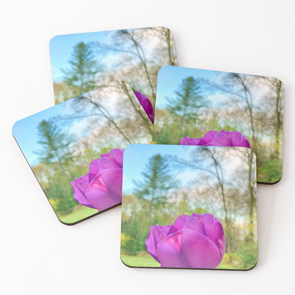 Item preview, Coasters (Set of 4) designed and sold by Notcamerashy.