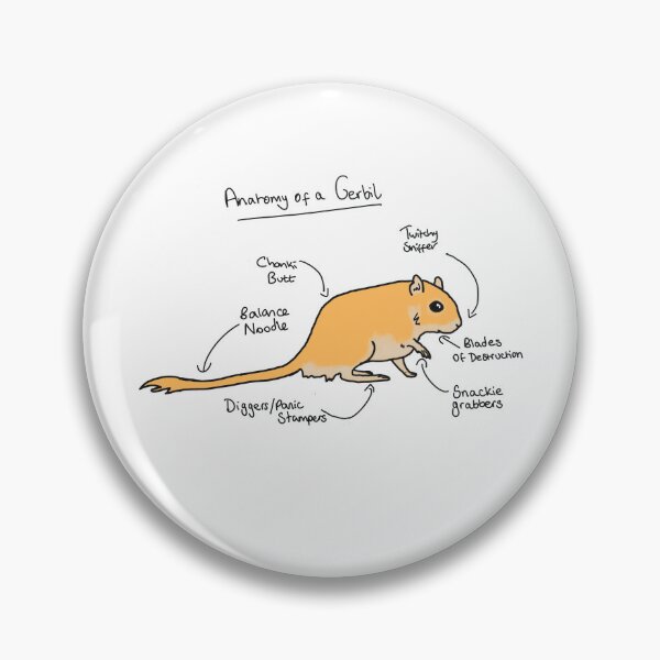Item preview, Anatomy of A Gerbil designed and sold by All About Gerbils.