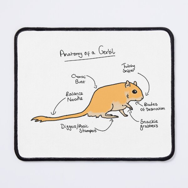 Item preview, Anatomy of A Gerbil designed and sold by All About Gerbils.