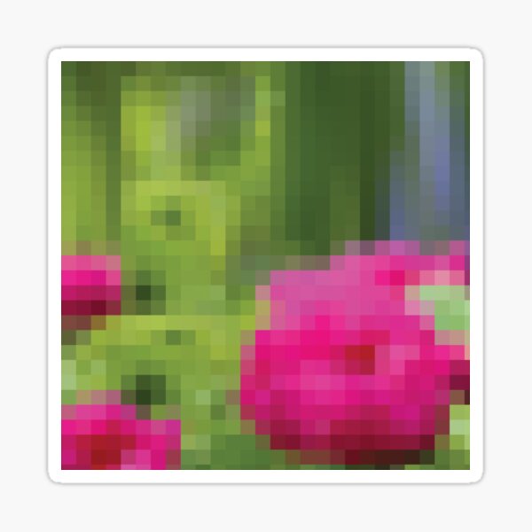 Peony 1 Sticker