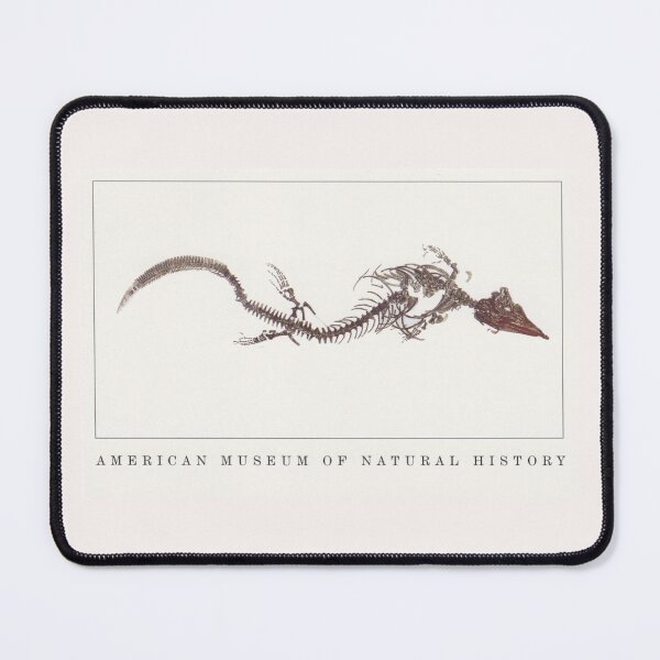 Item preview, AMNH Tylosaur design designed and sold by The Paleo shop ..