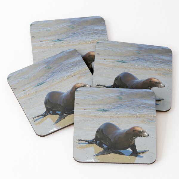 Item preview, Lone seal  -Monterey Bay designed and sold by Martha Burns.
