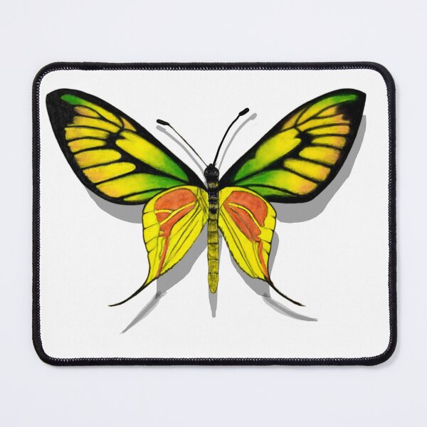 Item preview, Paradise Birdwing Butterfly with Shadow designed and sold by ArtAndBliss.