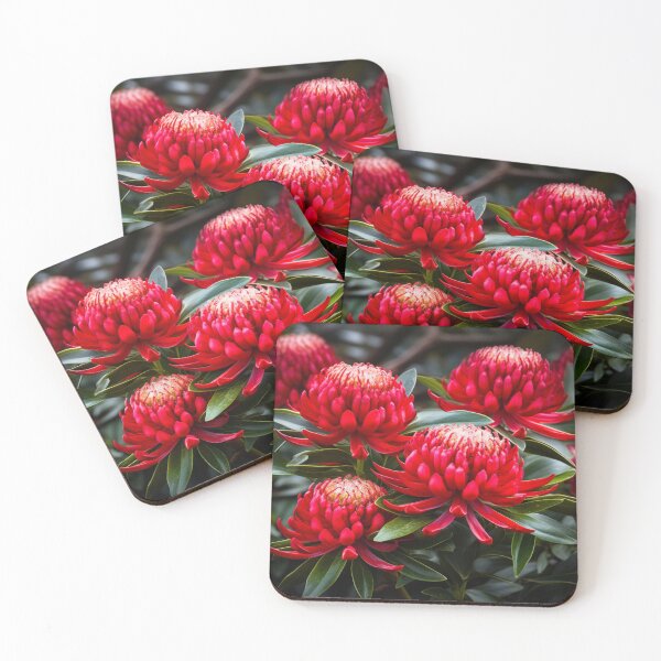 Item preview, Waratah flowers designed and sold by mshepdog.