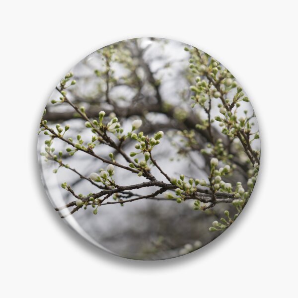 Item preview, Spring is Coming - Plum Tree About to Bloom designed and sold by Georgia Mizuleva.