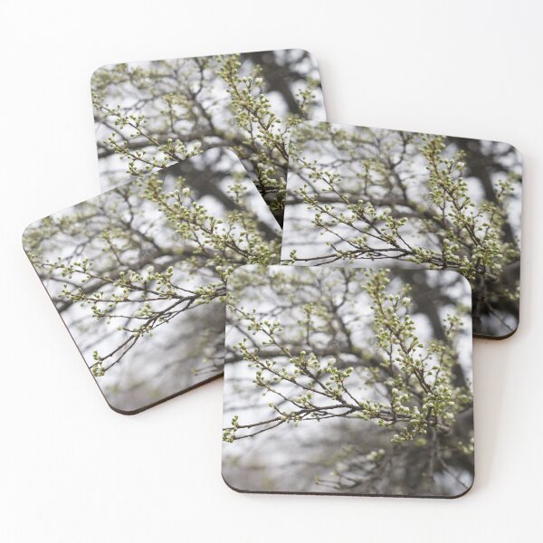 Item preview, Spring is Coming - Plum Tree About to Bloom designed and sold by Georgia Mizuleva.