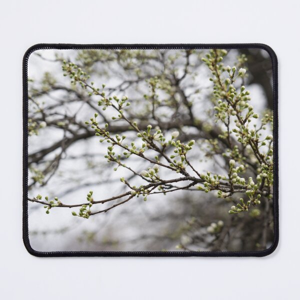 Item preview, Spring is Coming - Plum Tree About to Bloom designed and sold by Georgia Mizuleva.