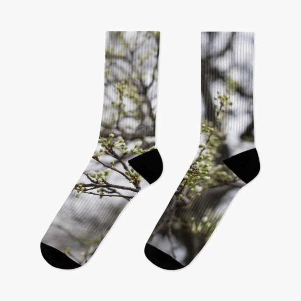 Item preview, Spring is Coming - Plum Tree About to Bloom designed and sold by Georgia Mizuleva.