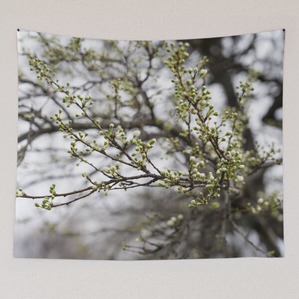 Item preview, Spring is Coming - Plum Tree About to Bloom designed and sold by Georgia Mizuleva.
