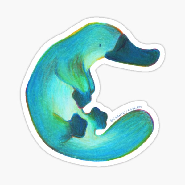 Platypus Sticker