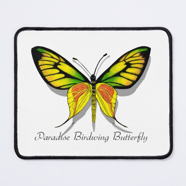 Item preview, Paradise Birdwing Butterfly Labeled designed and sold by ArtAndBliss.