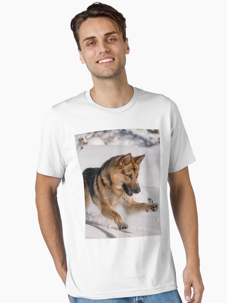 German Shepherd Dog Playing on Snow