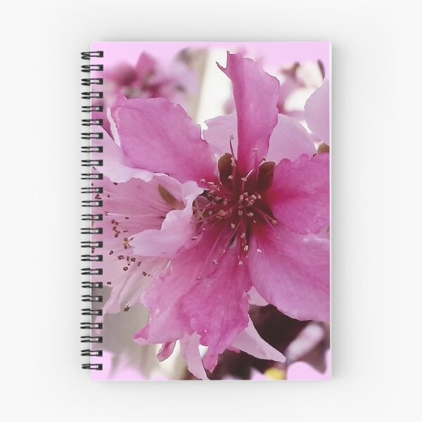 Item preview, Pink Apricot bloom photo by Iritof designed and sold by iritof.