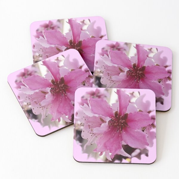 Item preview, Pink Apricot bloom photo by Iritof designed and sold by iritof.