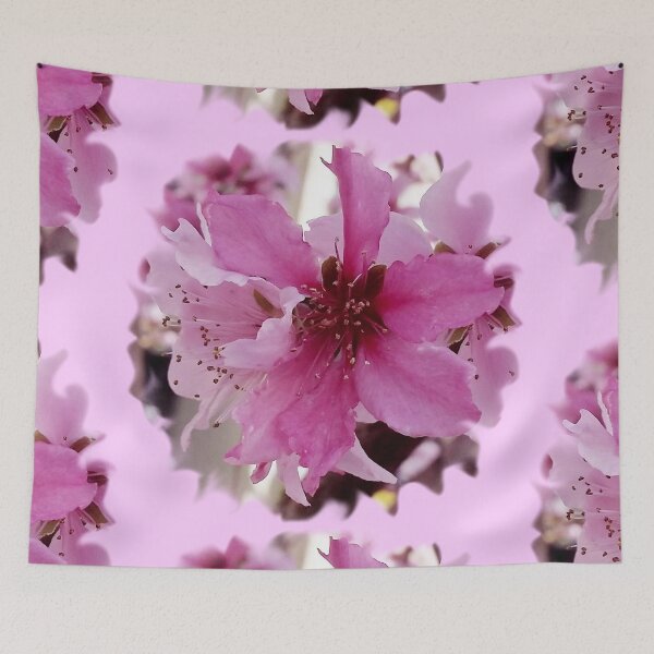 Item preview, Pink Apricot bloom photo by Iritof designed and sold by iritof.