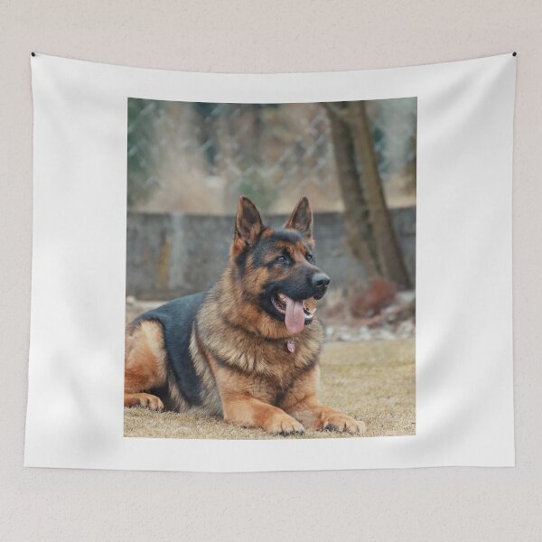 Item preview, Disciplined German Shepherd Dog designed and sold by VanGaldo.