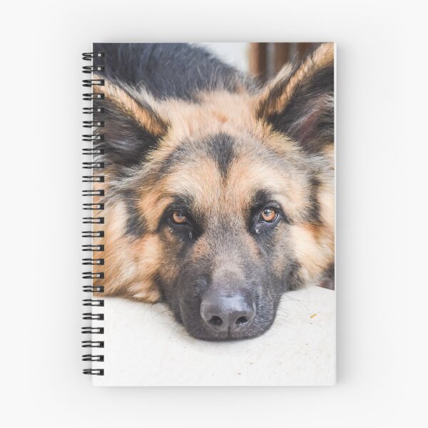Item preview, Tired German Shepherd Dog designed and sold by VanGaldo.