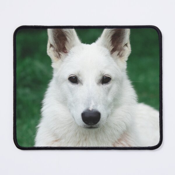 Item preview, Rare White German Shepherd Dog designed and sold by VanGaldo.