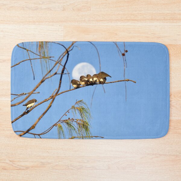 Item preview, White-Breasted Woodswallows looking at moon designed and sold by Mark Grimsley.