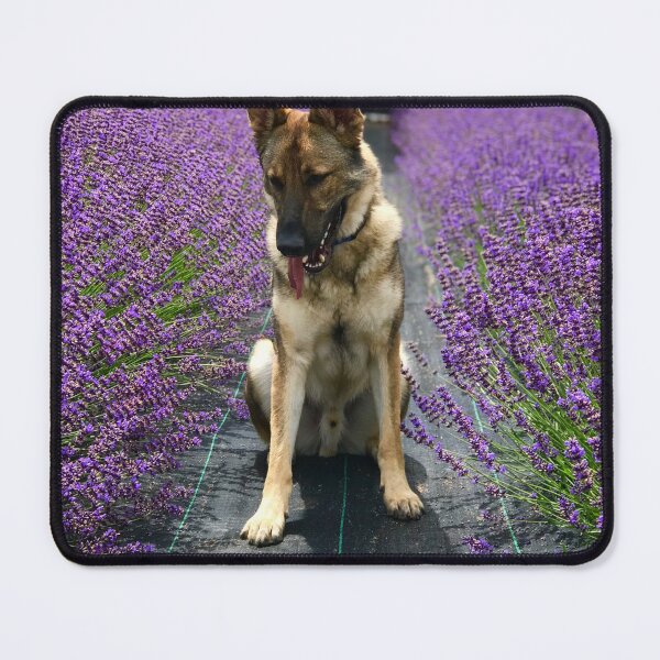 Item preview, German Shepherd Dog with Purple Flowers designed and sold by VanGaldo.