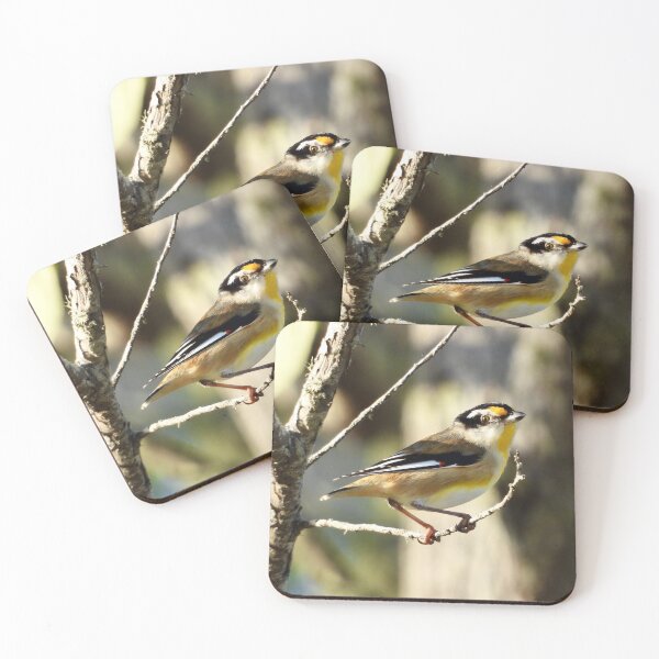 Item preview, Striated Pardalote Dundowran Beach designed and sold by Mark Grimsley.