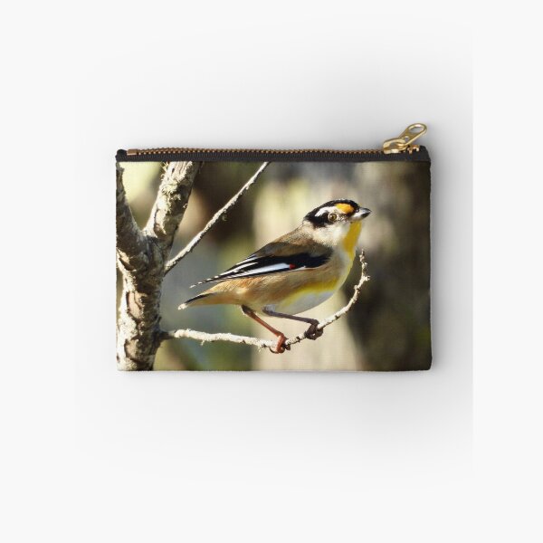 Item preview, Striated Pardalote Dundowran Beach designed and sold by Mark Grimsley.