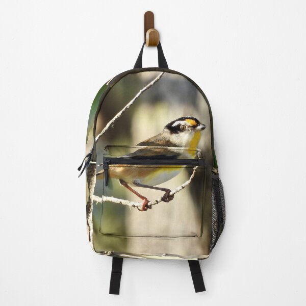 Item preview, Striated Pardalote Dundowran Beach designed and sold by Mark Grimsley.