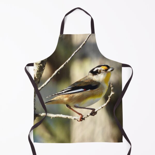 Item preview, Striated Pardalote Dundowran Beach designed and sold by Mark Grimsley.
