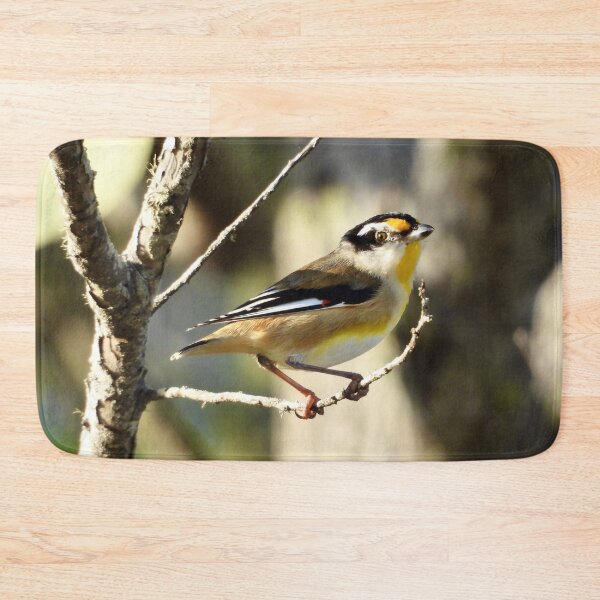 Item preview, Striated Pardalote Dundowran Beach designed and sold by Mark Grimsley.