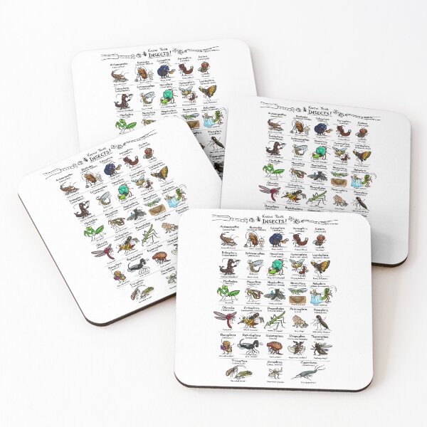 Item preview, Illustrated Guide to Insects designed and sold by KetrinaDrawsALot.