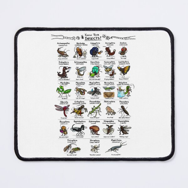 Item preview, Illustrated Guide to Insects designed and sold by KetrinaDrawsALot.