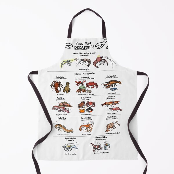 Item preview, Illustrated Guide to Decapod Crustaceans designed and sold by KetrinaDrawsALot.