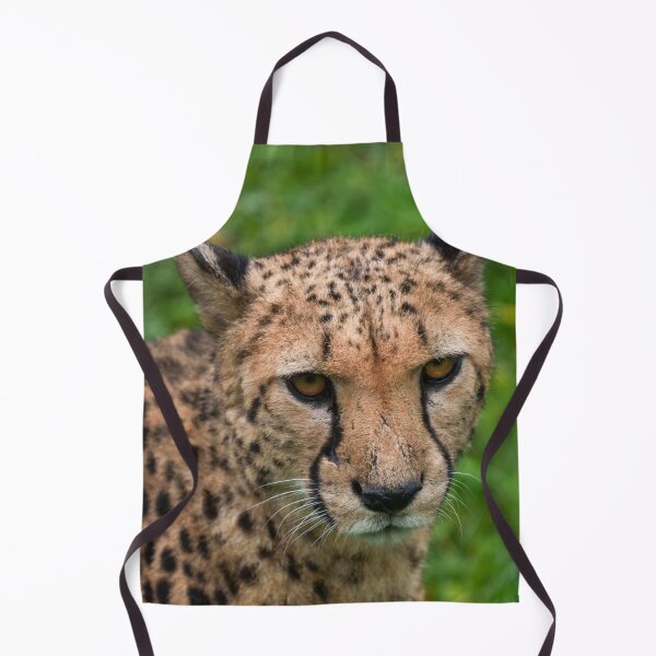Item preview, Cheetah's Intense Gaze designed and sold by rawshutterbug.