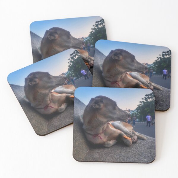 Item preview, Stray candid designed and sold by gethiraved.