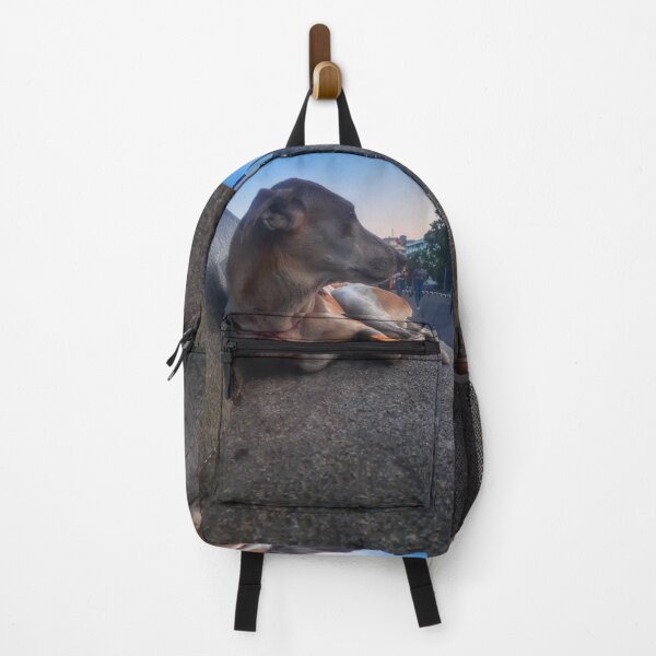 Item preview, Stray candid designed and sold by gethiraved.