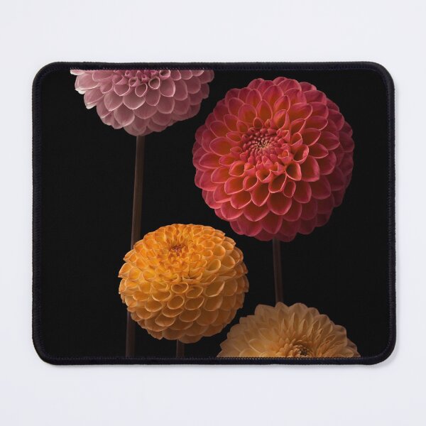 Item preview, Dahlias in Harmony designed and sold by assaf.