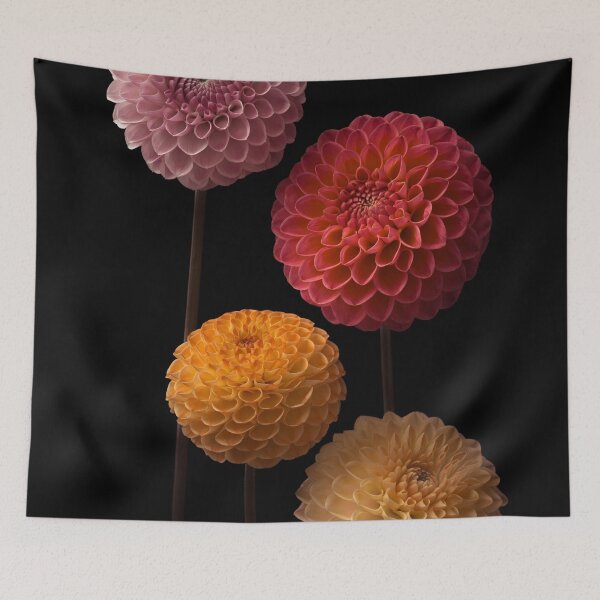 Item preview, Dahlias in Harmony designed and sold by assaf.