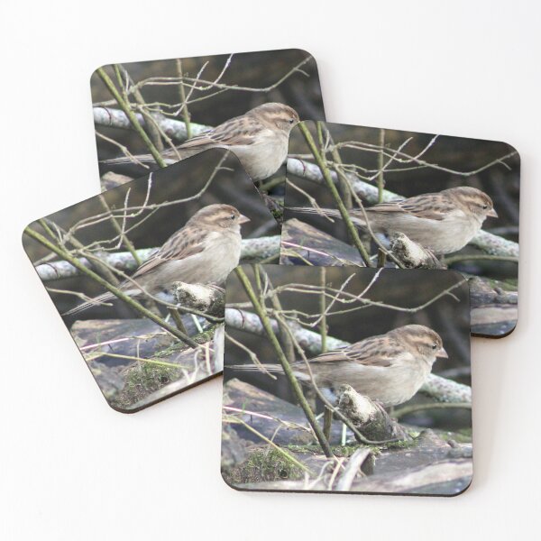 Item preview, acecho designed and sold by KathleenDawson.
