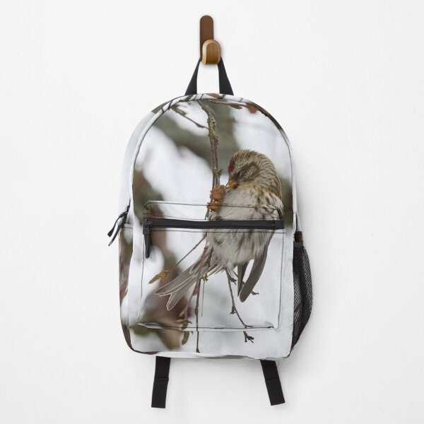Item preview, Kiss. Mealy redpoll designed and sold by Jouko Lehto Photography.