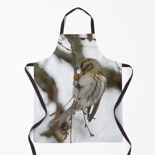 Item preview, Kiss. Mealy redpoll designed and sold by Jouko Lehto Photography.